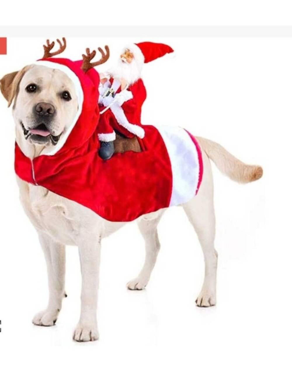 Dog Pet Christmas Santa Claus Costume Med to Large Antlers & Adjustable Straps